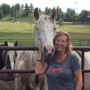 Horse Riding Holiday - Gypsy Vanner horses in Pagosa Springs, CO