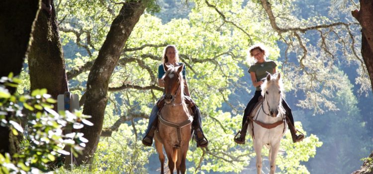 Horse Rental Excursions – Let’s GO!