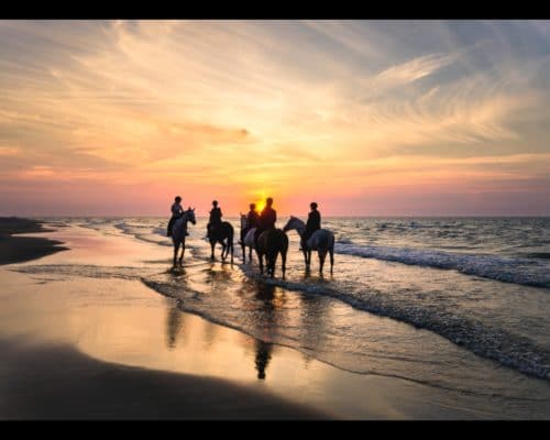 Horse Riding on the Beach: 5 Popular International Destinations