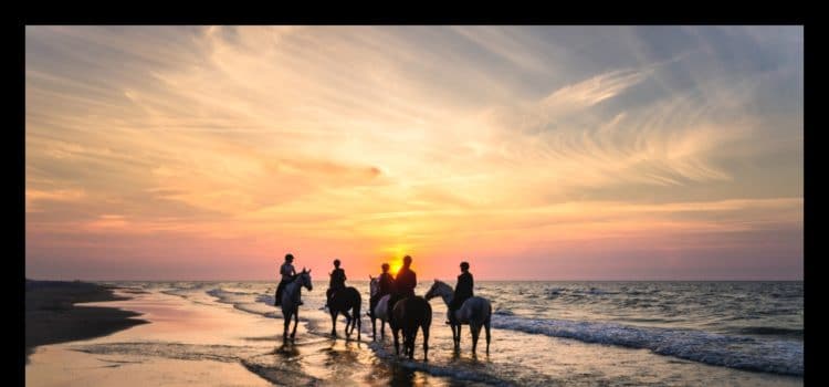 Horse Riding on the Beach: 5 Popular International Destinations