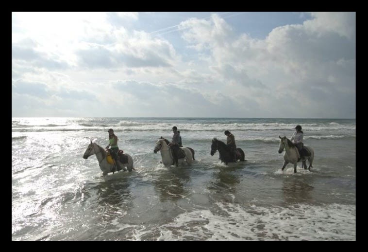Horse Riding on the Beach in Morocco